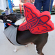 Illustration for article titled Heres A Dog Dressed As A Hot Dog, Eating A Hot Dog